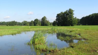 Fortschreibung des Biotopkatasters NRW im Kreis Paderborn  